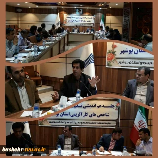 نقش دانشگاه فنی و حرفه ای استان بوشهر در تدوین سند توسعه شاخص های کارآفرینی