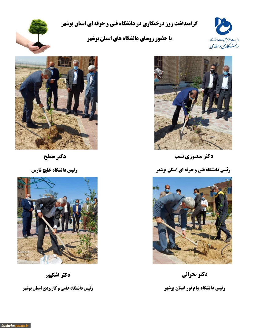 کاشت نهال توسط روسای دانشگاه های استان بوشهر به مناسبت هفته منابع طبیعی 2