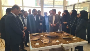 بازدید رئیس دانشگاه ملی مهارت کشور از نمایشگاه دستاوردهای دانشجویی آموزشکده‌های استان بوشهر 7