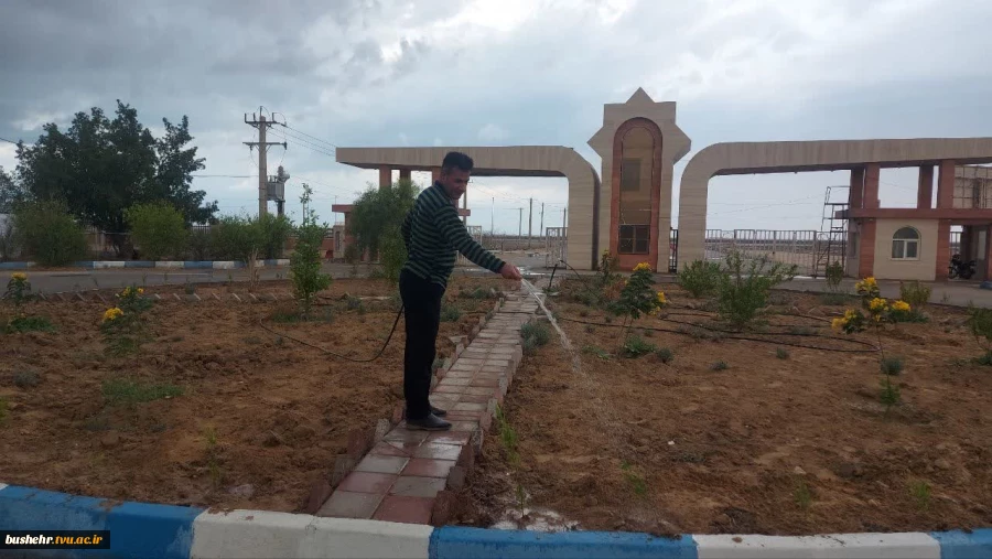 کاشت بیش از ۴۰۰ نهال به مناسبت میلاد حضرت علی (ع) 2