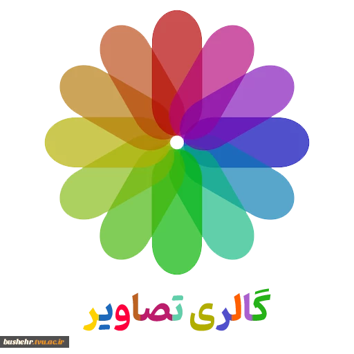 تأکید بر «آموزش ختم‌کننده تمام فعالیت‌ها» در آیین تجلیل از استادان سرآمدی دانشگاه مهارت استان بوشهر 3